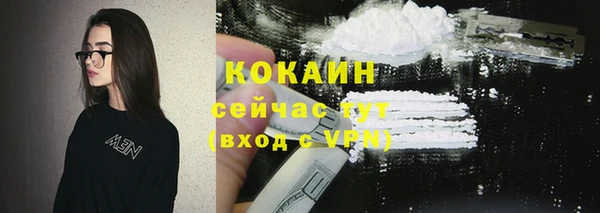 дживик Куровское