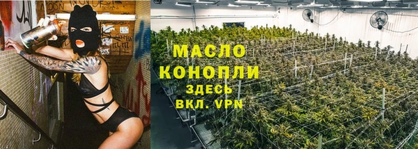 винт Лагань