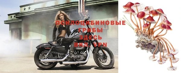 метадон Курчалой