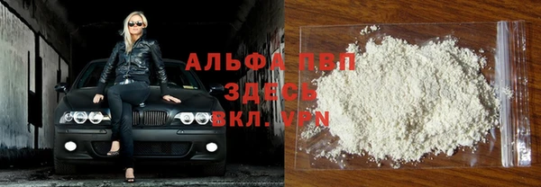 винт Лагань